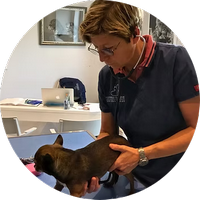 Dr Valérie Gonon vérinaire en action